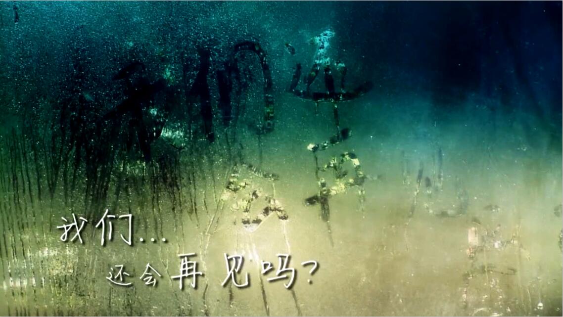 &#21326;&#20307;&#20250;&#20307;&#32946;&#45;&#21326;&#20307;&#20250;&#40;&#20013;&#22269;&#41;
